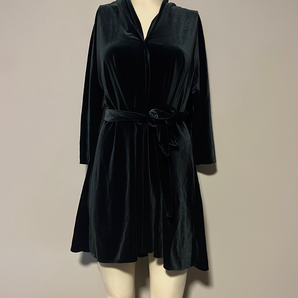 Velvety Deep Green Zara Women Dress XS